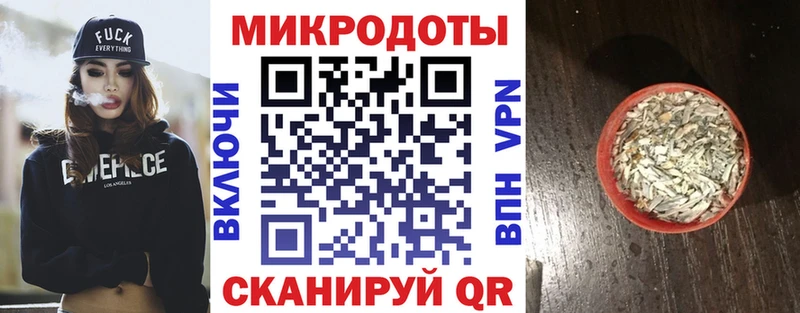 Псилоцибиновые грибы Psilocybe  Лагань 